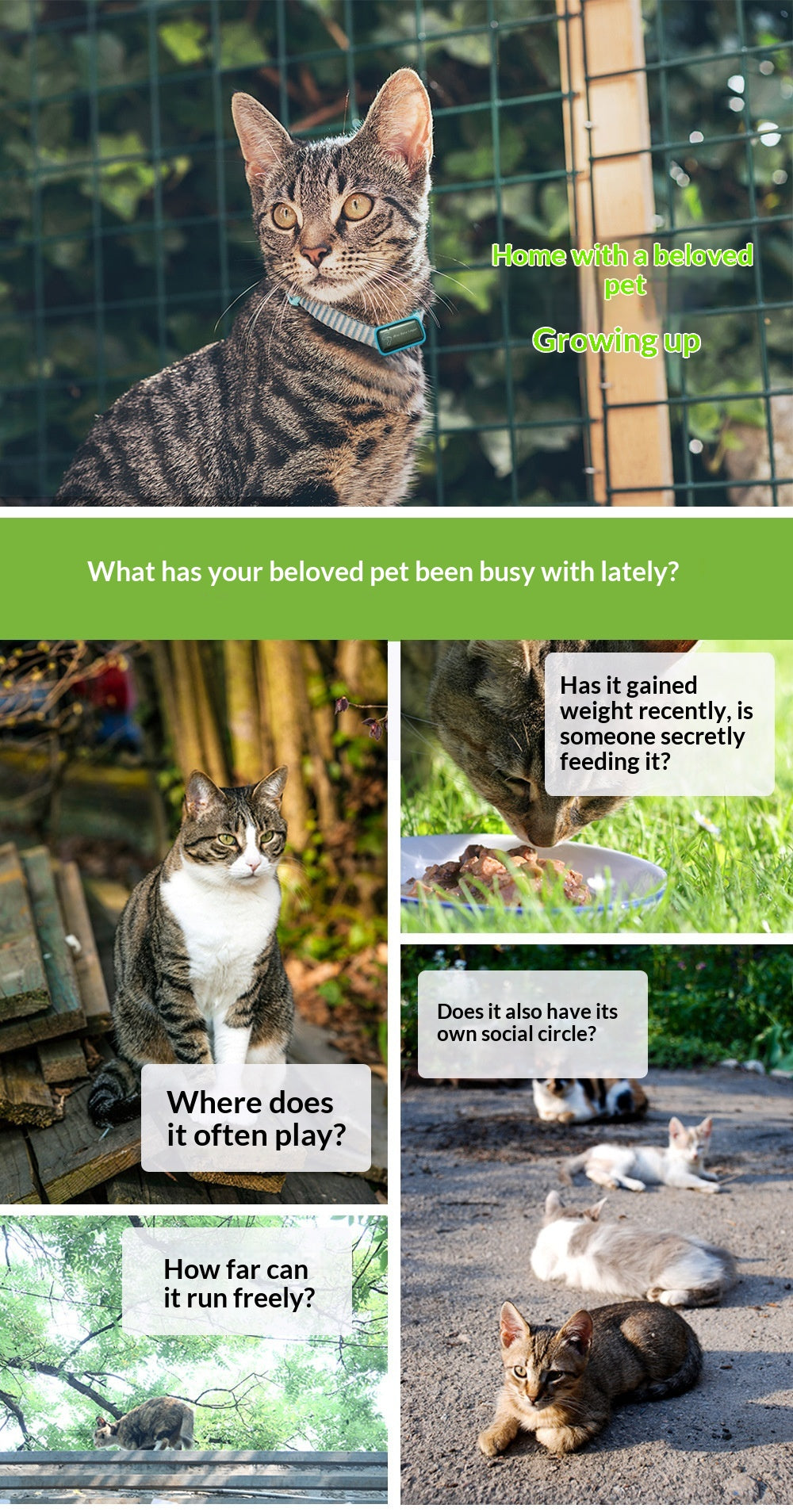 Localizador GPS y Monitor de Actividad para Mascotas
