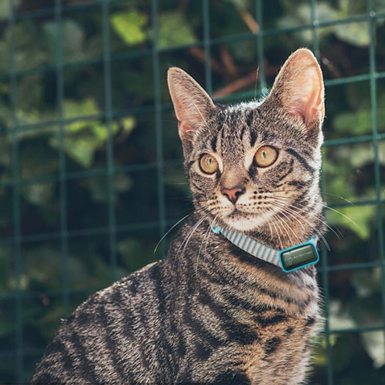 Localizador GPS y Monitor de Actividad para Mascotas